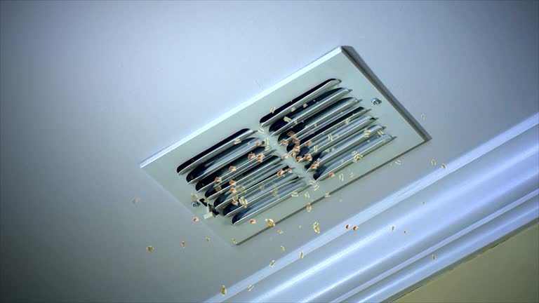 Best Affordable Air Duct Cleaning  in Mount Carmel, OH