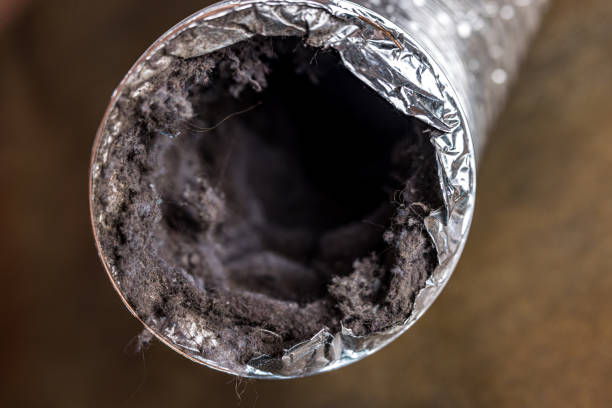 Best Home Air Vent Cleaning  in Mount Carmel, OH